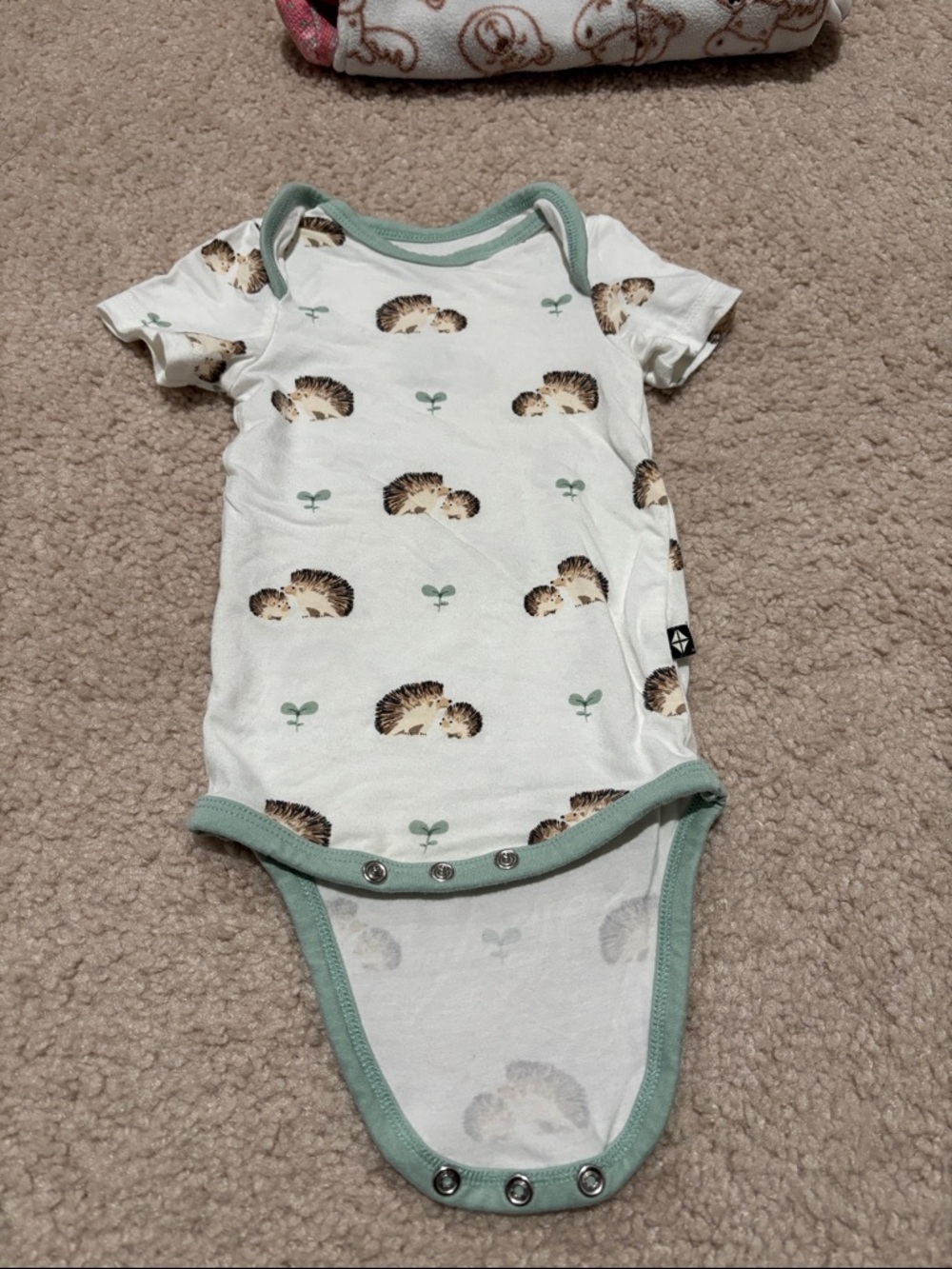 Kyte BABY White One-Piece with Hedgehog Print and Sage Trim
